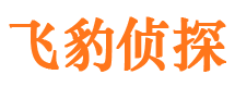 霍城市侦探调查公司